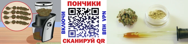 Canna-Cookies марихуана Бузулук