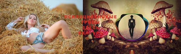 герыч Беломорск