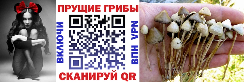 Галлюциногенные грибы MAGIC MUSHROOMS  Бузулук 